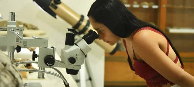 Tour del Museo di Storia Naturale di Tatacoa + Laboratorio sui fossili