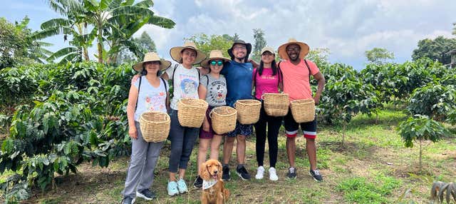 Visita alla piantagione di caffè Don Arnulfo