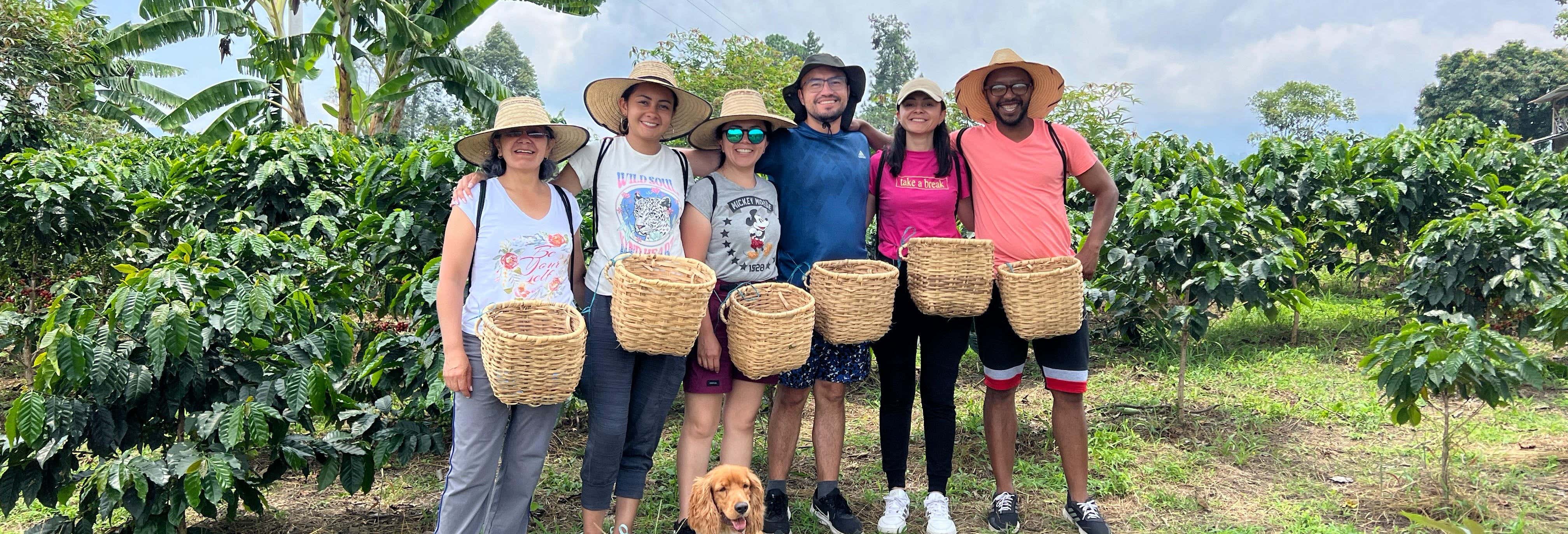 Don Arnulfo Coffee Farm Tour