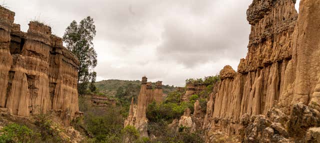 Escursione alla Miniera di Sale di Nemocón + Trekking nel deserto di Checua