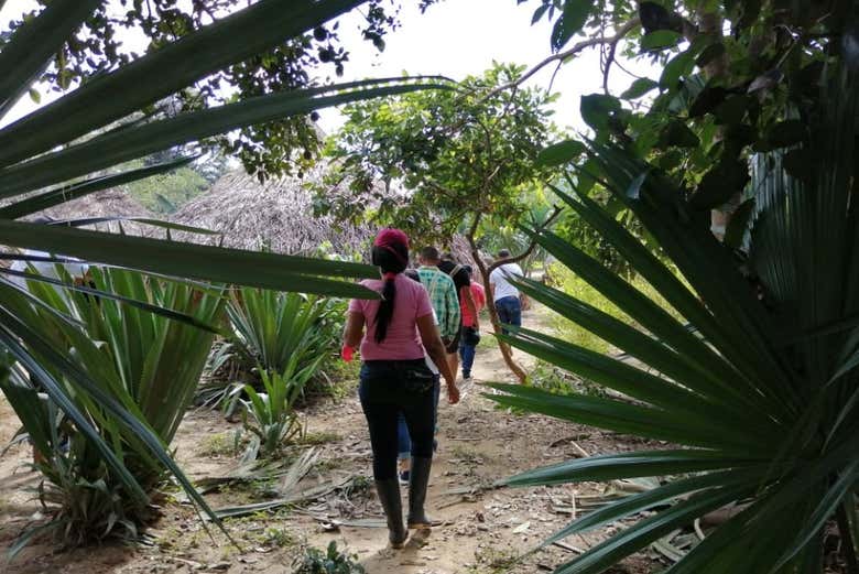 Imagen 4
