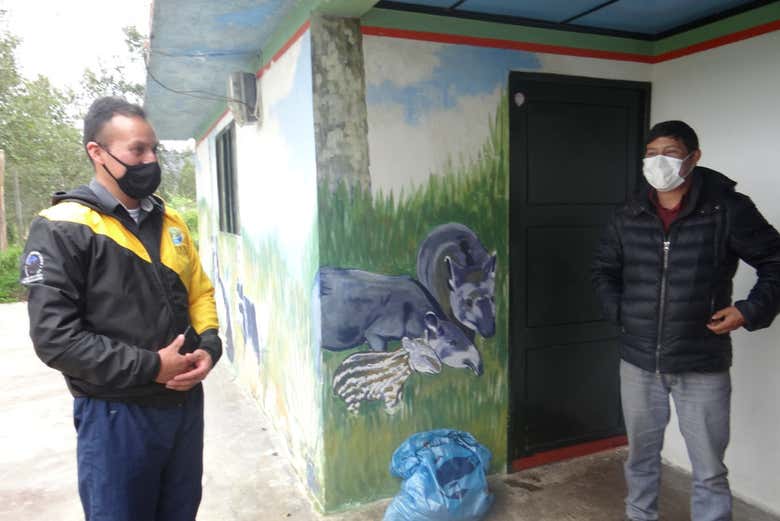 Imagen 8