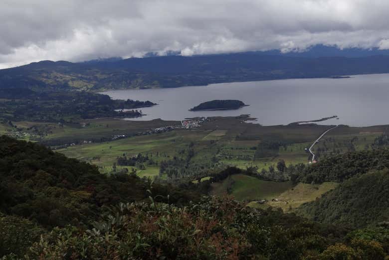 Imagen 10