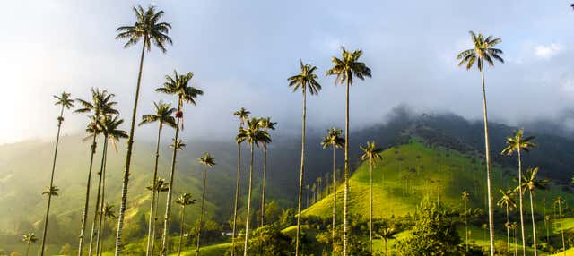 Escursione a Filandia, Salento e Valle de Cocora