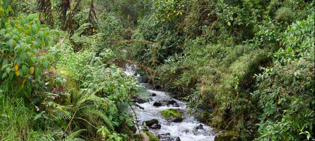 Escursione alle terme di San Vicente