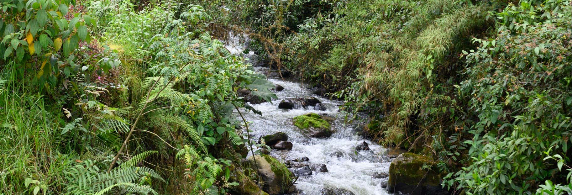 Escursione alle terme di San Vicente