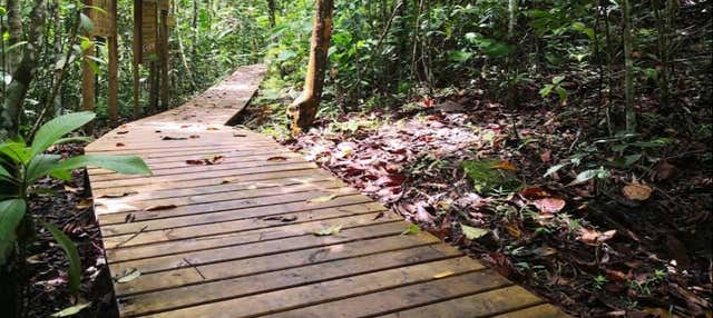 Escursione a La Virginia ed El Guásimo