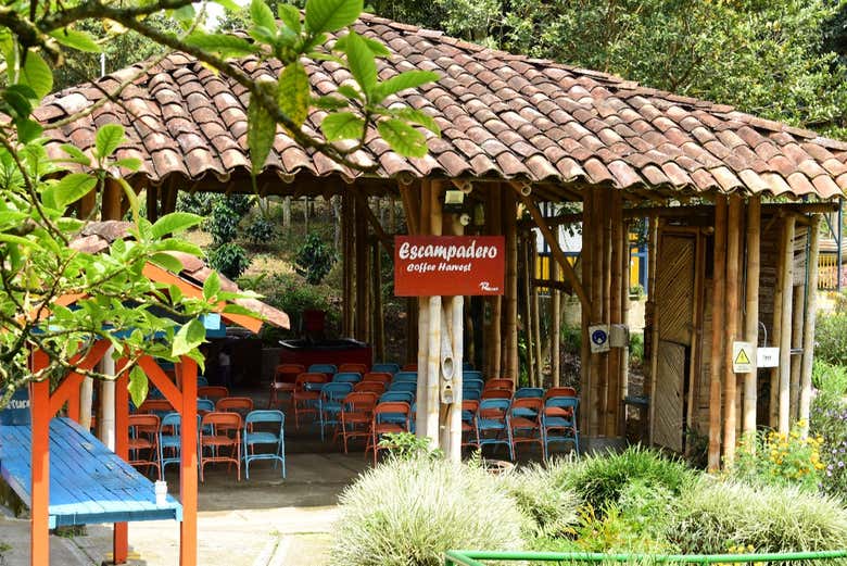 Espacios de la finca - Espacios de la finca