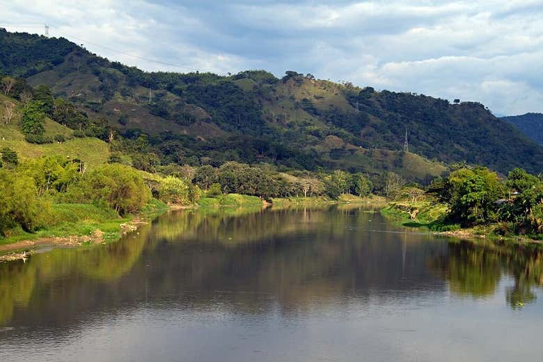 Imagen 2