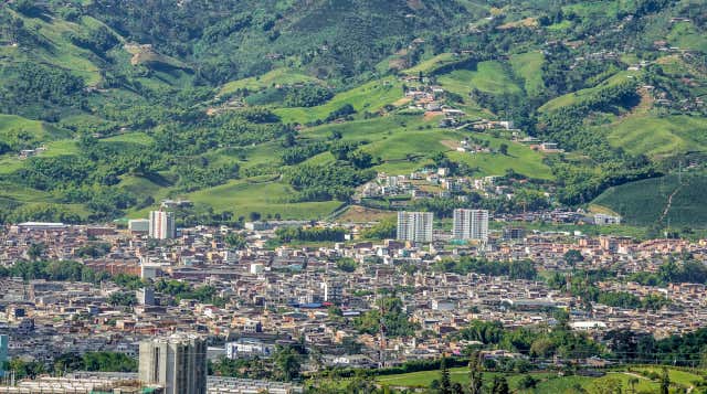 Pereira