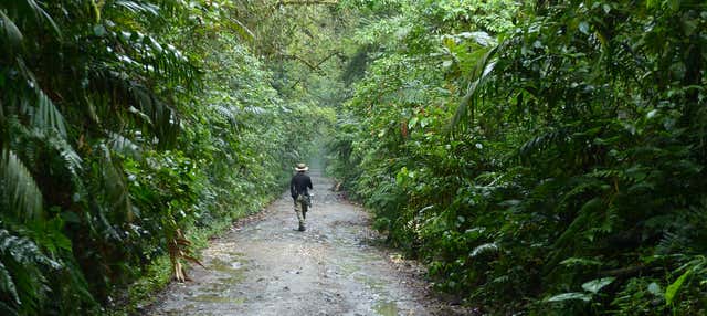 Trekking al Santuario Otún Quimbaya