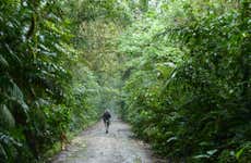 Otún Quimbaya Sanctuary Hike