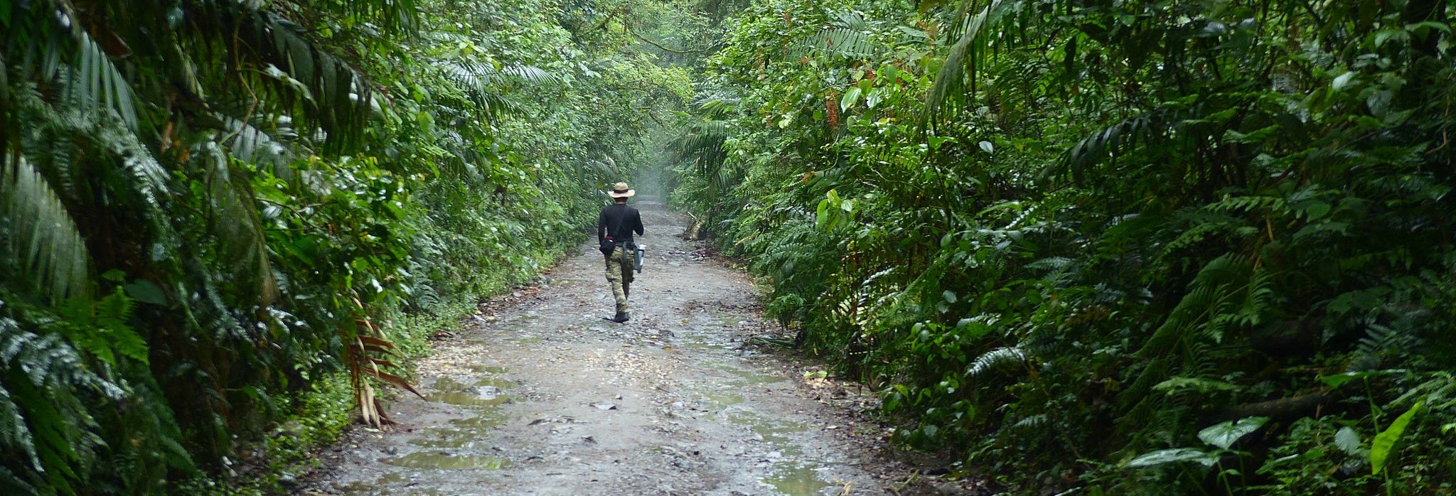 Otún Quimbaya Sanctuary Hike