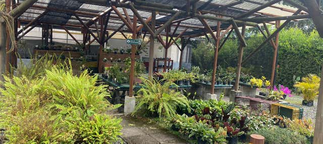 Tour del Giardino Botanico di Pereira