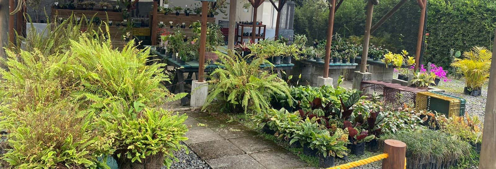 Tour del Giardino Botanico di Pereira