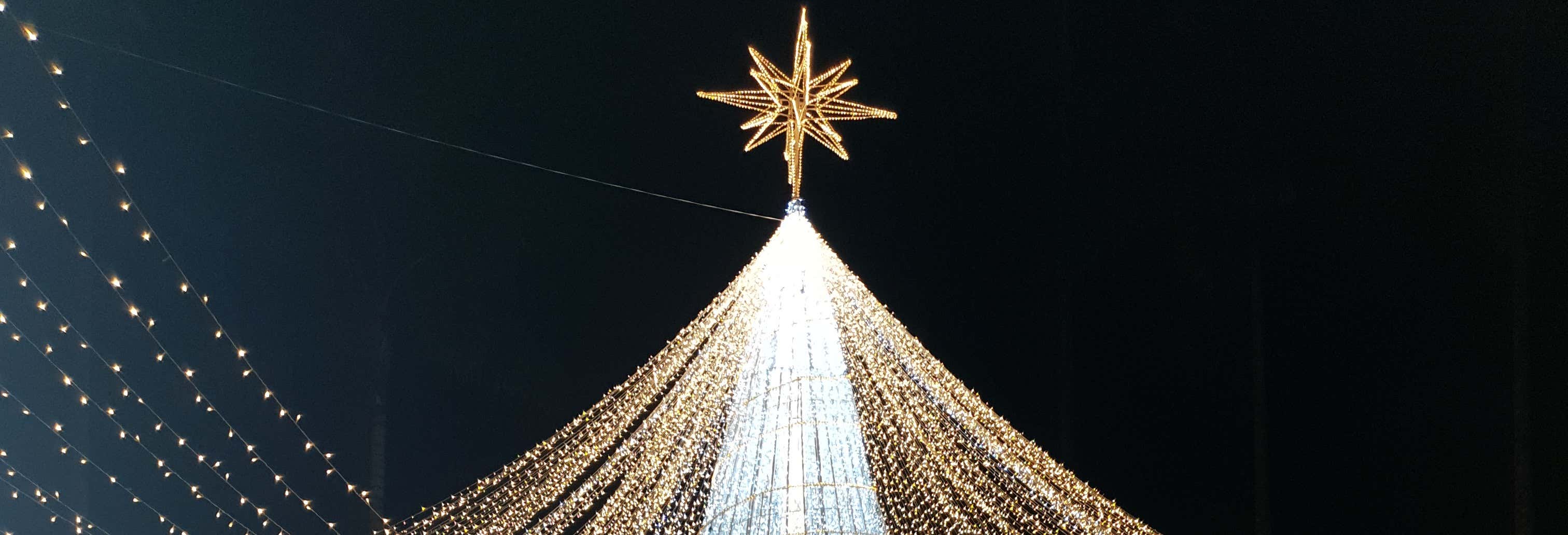 Tour natalizio di Pereira