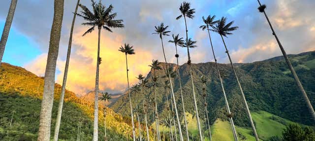 Trasporto fra Pereira o Armenia e la Valle del Cocora