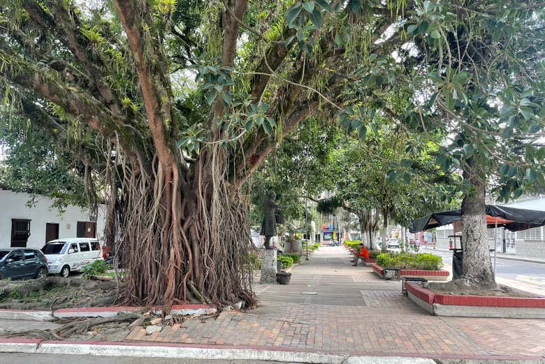 Rincones de Pitalito con encanto - Rincones de Pitalito con encanto