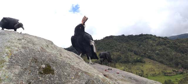 Escursione privata da Popayán