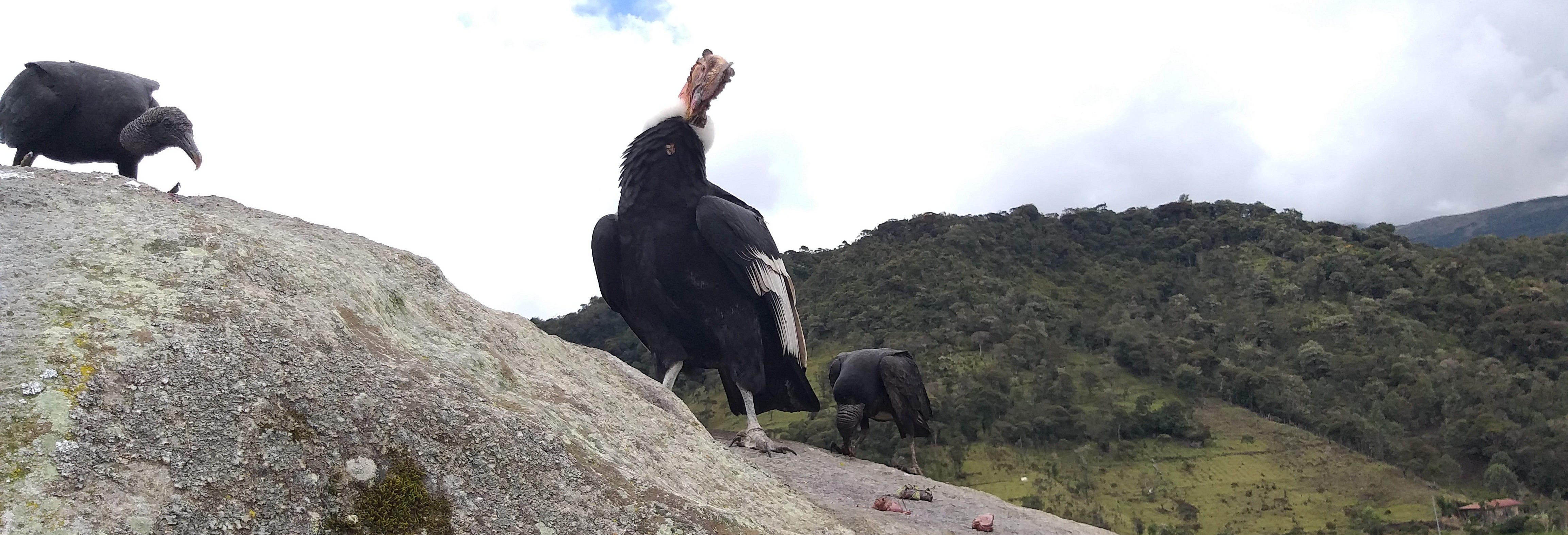 Private Excursions from Popayán