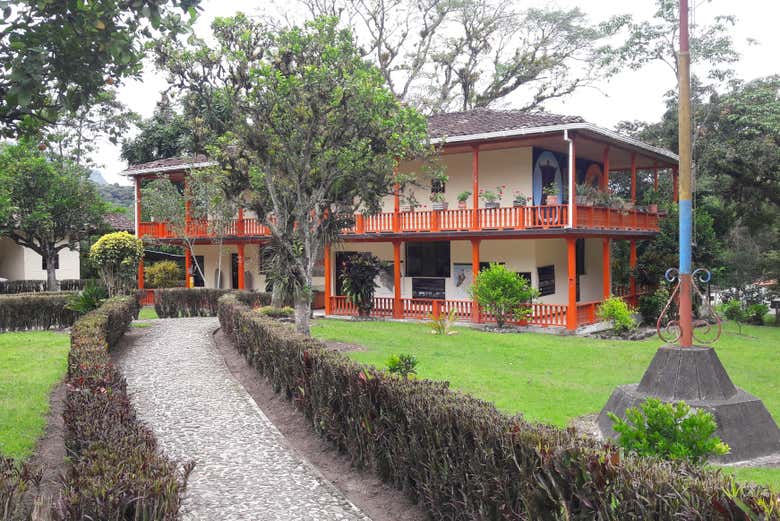 Imagen 5