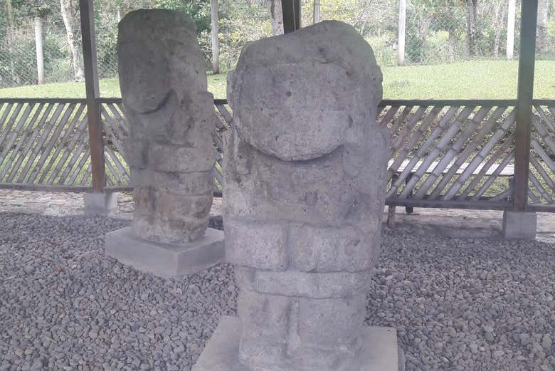Imagen 6