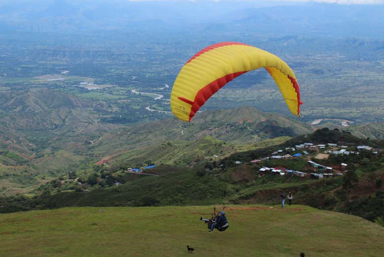 Imagen 7