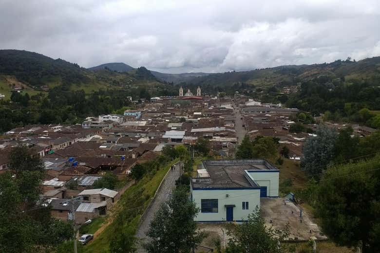 Imagen 5