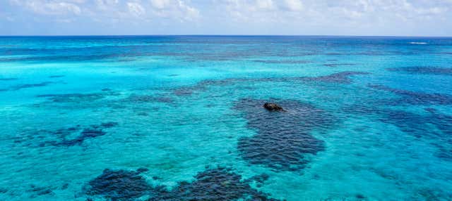 Escursione a Punta Arrecife