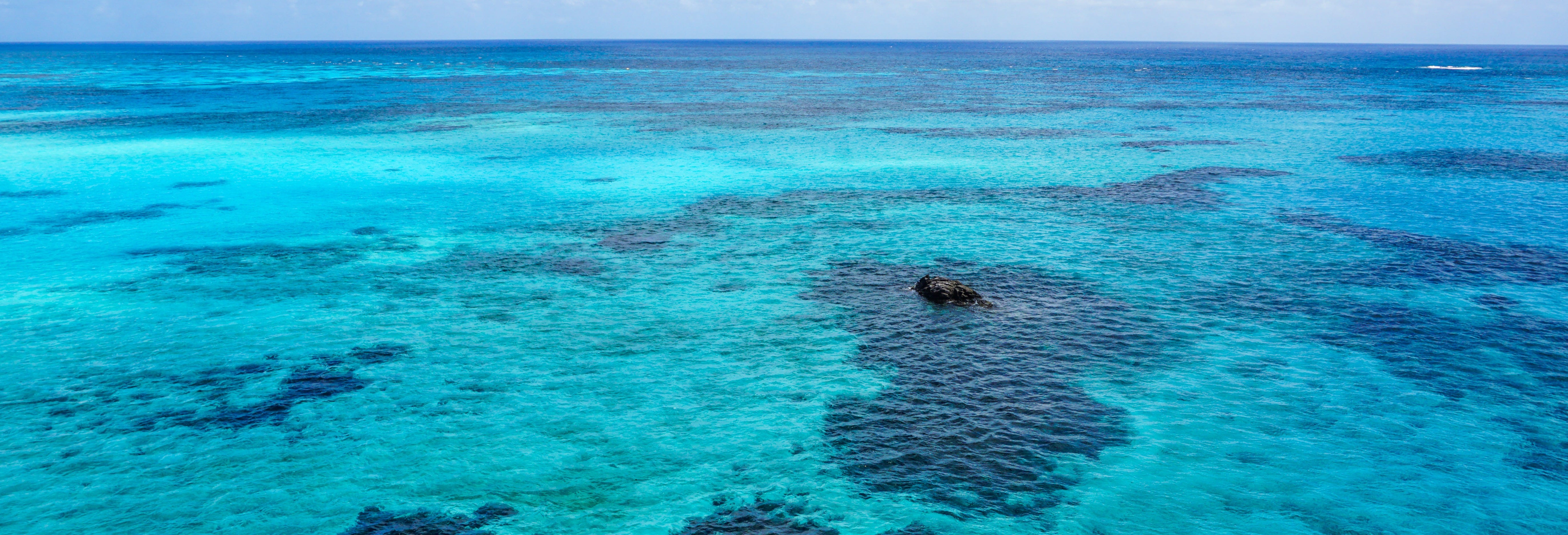 Punta Arrecife Excursion