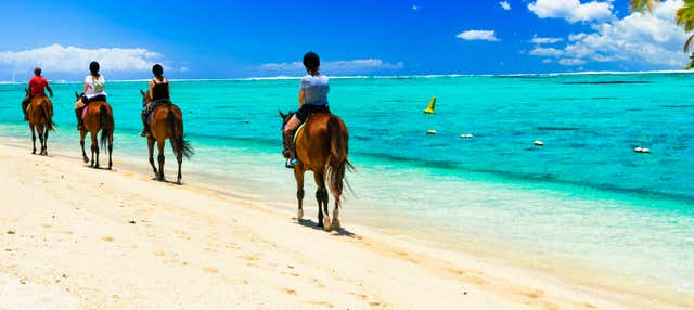 Passeggiata a cavallo a Providencia