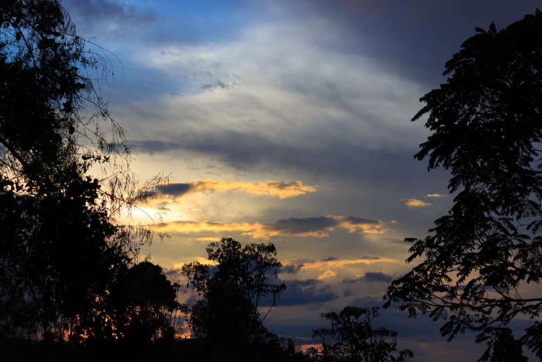 Imagen 6