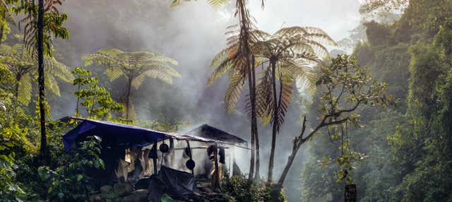 Notte nella foresta amazzonica