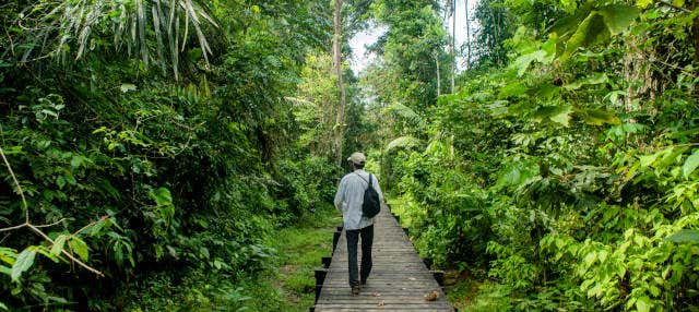 Trekking nel Parco Naturale Amacayacu