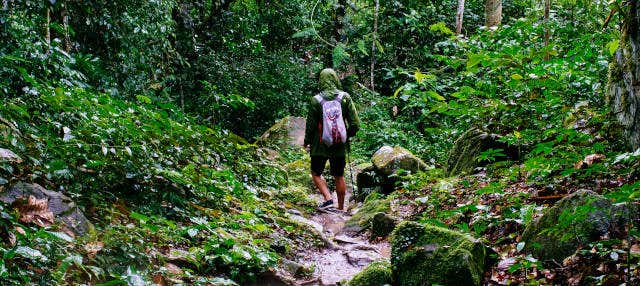 Trekking nella Foresta Amazzonica + Comunità di Santa Teresita