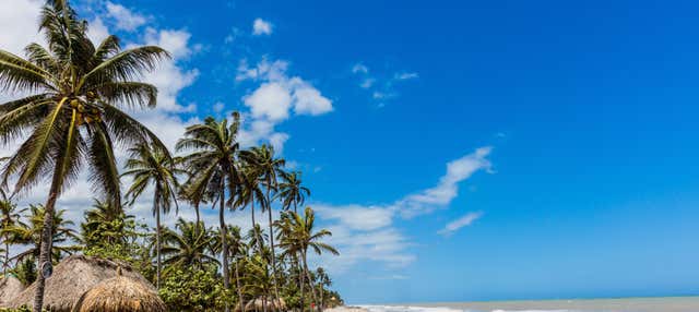 Excursión a la playa de Palomino