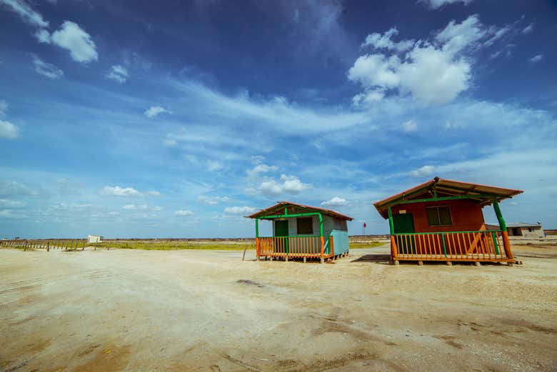 Enjoying the trip to Mayapo Beach - Enjoying the trip to Mayapo Beach
