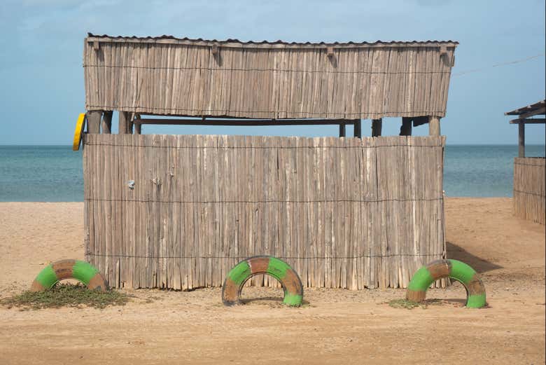 Exploring the bay - Exploring the bay