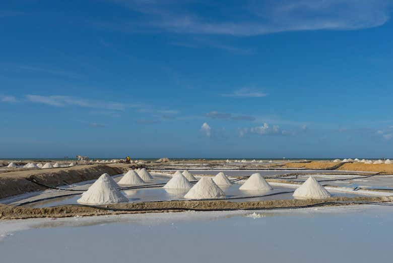 Imagen 9