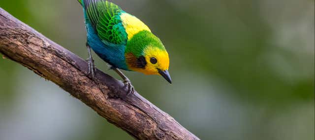 Birdwatching nella riserva Santa Rita