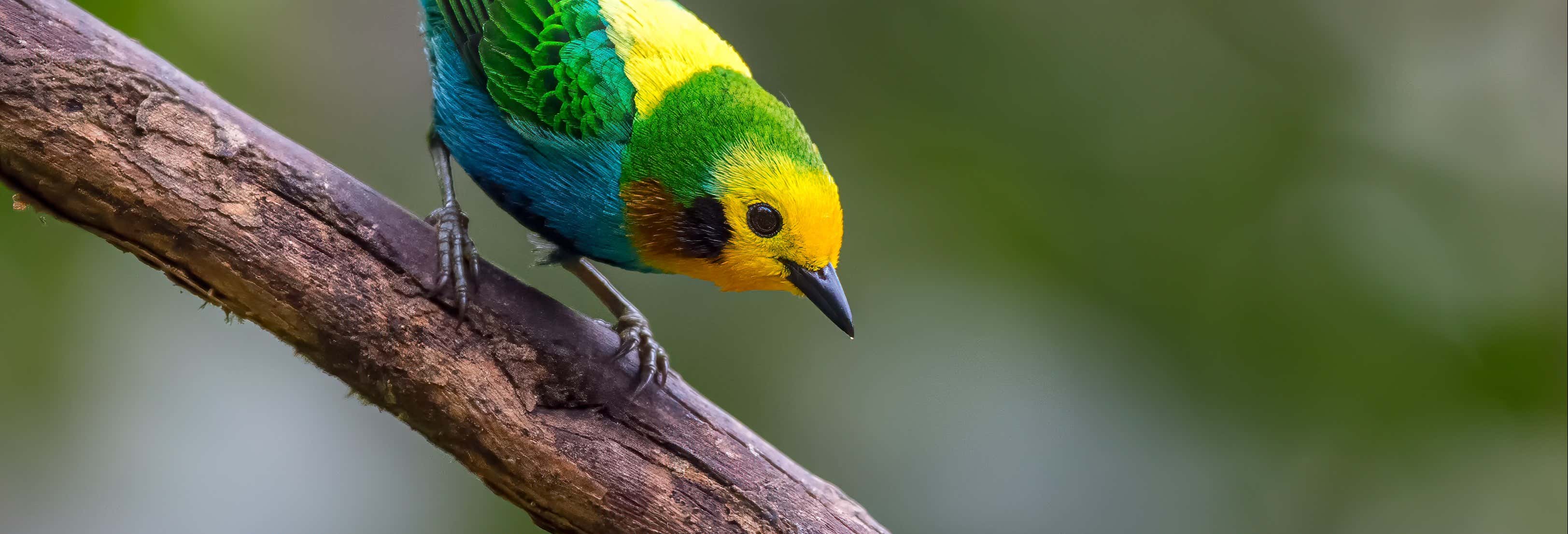 Birdwatching nella riserva Santa Rita