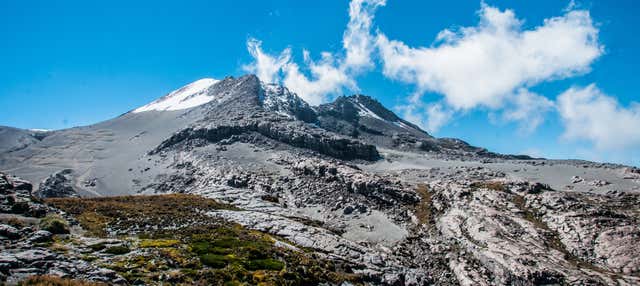 Escursione al Parco Nazionale Los Nevados