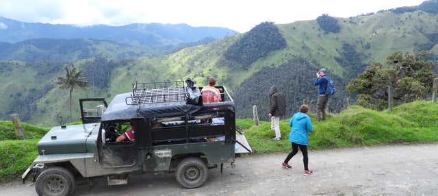 Escursione privata alla riserva delle palme da cera di Tochecito