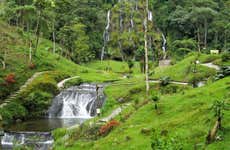 Excursão privada às termas de Santa Rosa de Cabal