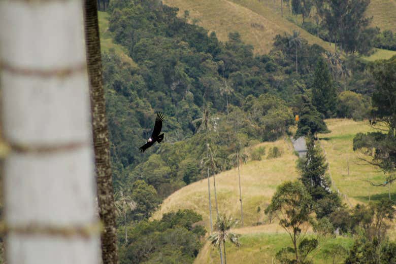 Disfruta de las montañas y sus hermosos paisajes - Disfruta de las montañas y sus hermosos paisajes