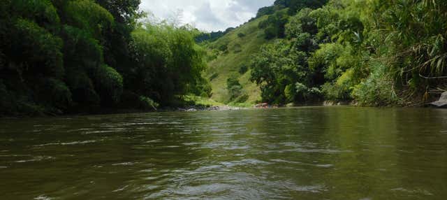 Giro in zattera di bambù a Quimbaya