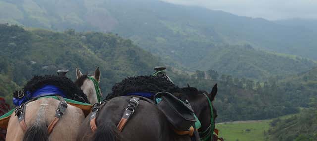 Passeggiata a cavallo a Salento