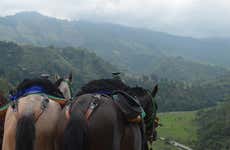 Horseback Riding in Salento