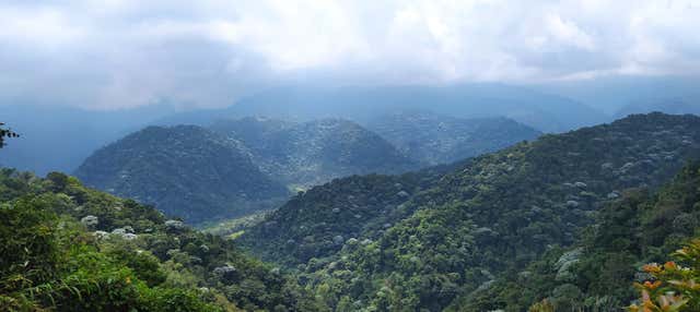 Trekking al santuario Otún Quimbaya
