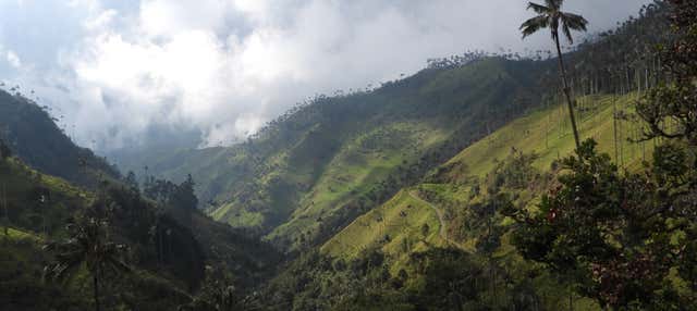 Trekking al Santuario della Palma da Cera di Tochecito